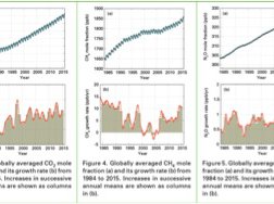 Read article: Carbon Dioxide Levels Reach Record High, Ushering in a New Era of Climate Reality