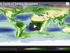 Yearly Cycle of Earth's Biosphere